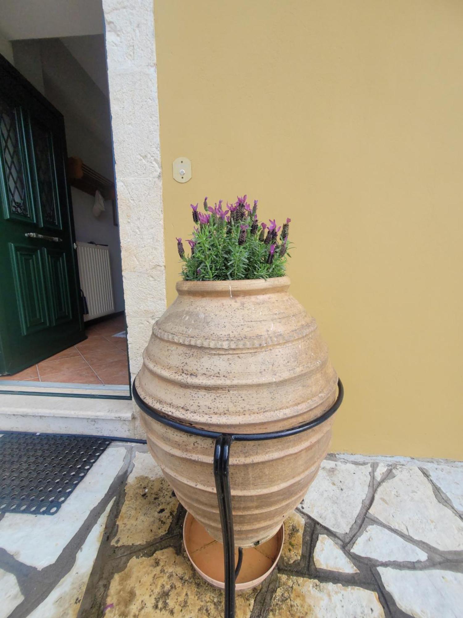 Palairos Historic Property 외부 사진